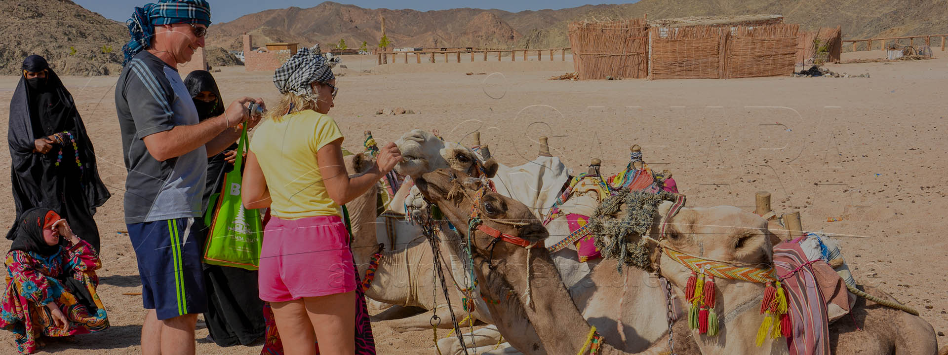 Safari en quad : excursion d'une demi-journée au parc du Sahara