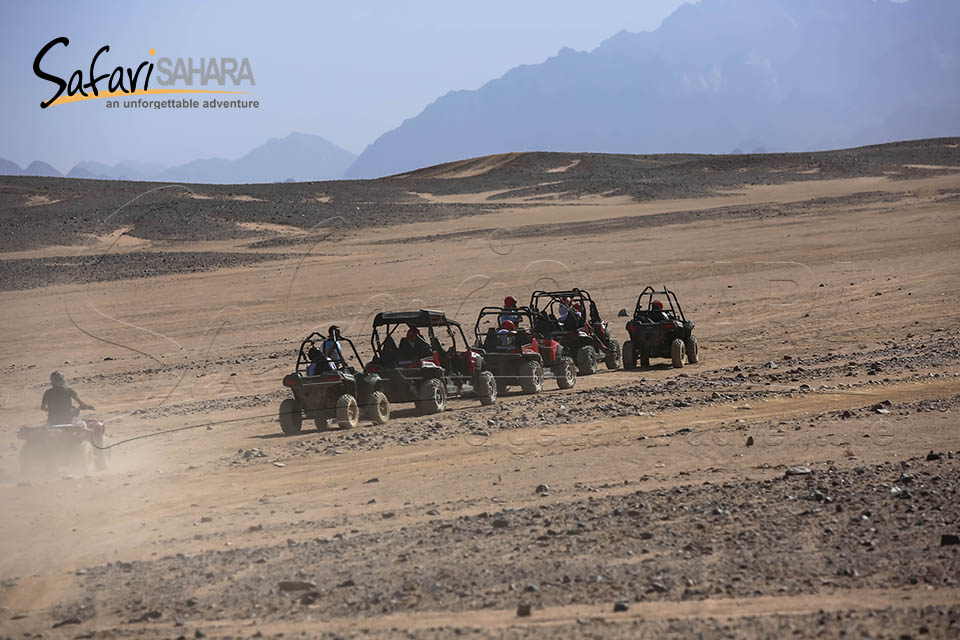 Safari matinal en buggy dans les dunes Polaris RZR Hurghada