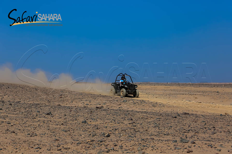 Excursion au coucher du soleil en buggy Polaris RZR dans le désert de Charm