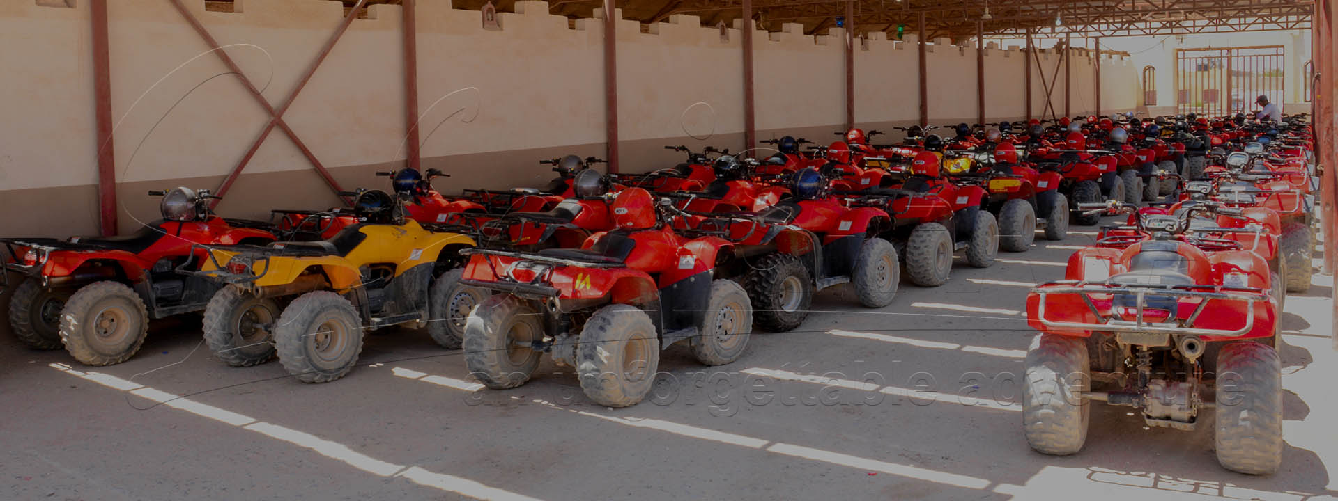 Quad Safari Baie de Makadi