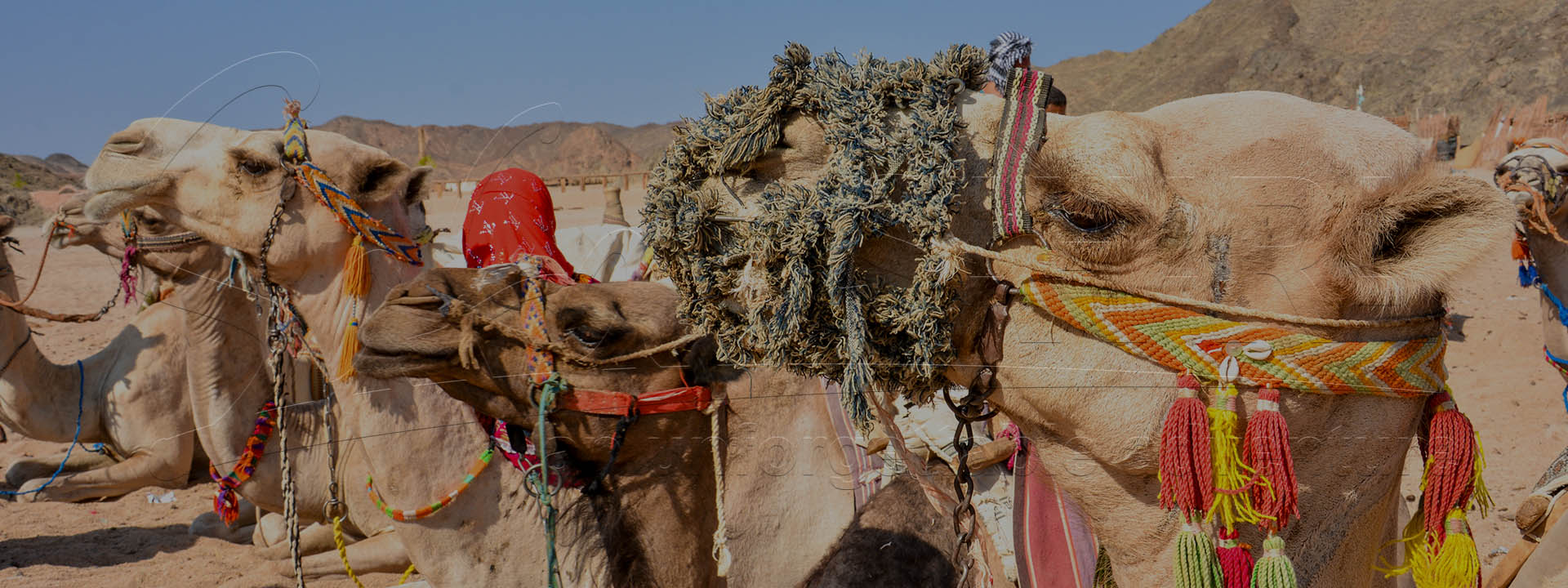 Hurghada Sunset Desert Day Safari